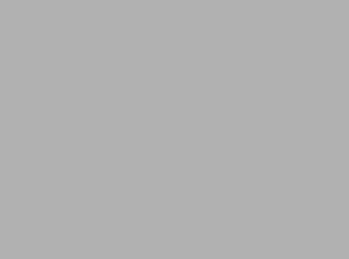 proy_IDI_Syagee_01